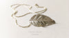 Sterling Silver Leaf Necklace by Carolyn Nicole Designs